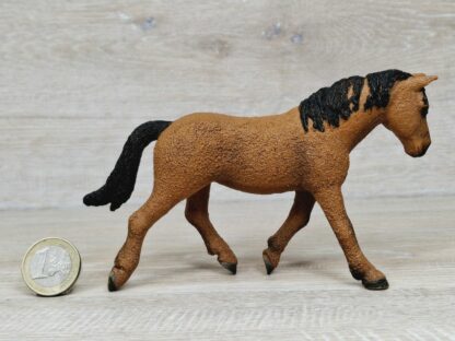 Schleich –13780 Bashkir Curly Stute (RAR) – Bild 2