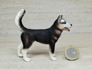 Schleich - 16371 Husky Rüde