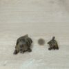 Schleich - Riesenschildkröte Familie – Bild 3