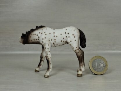 Schleich - 13619 Knabstrupper Fohlen, saugend – Bild 3