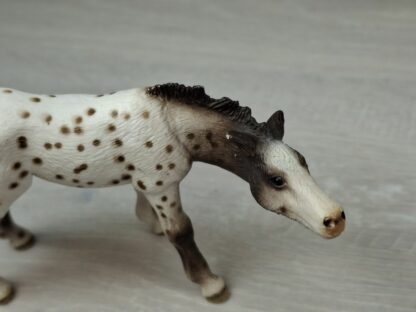 Schleich - 13619 Knabstrupper Fohlen, saugend – Bild 4