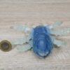 Schleich - 42494 Eis Spinne [-] – Bild 4