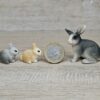 Schleich - Kaninchen Familie aus Set 42420 – Bild 3