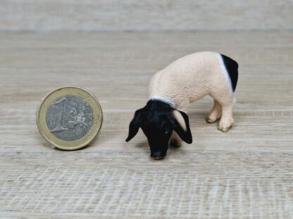Schleich - 13635 Schwäbisch-Hällisches Ferkel, fressend – Bild 2