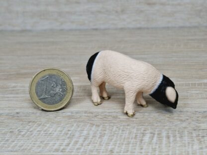 Schleich - 13635 Schwäbisch-Hällisches Ferkel, fressend – Bild 3