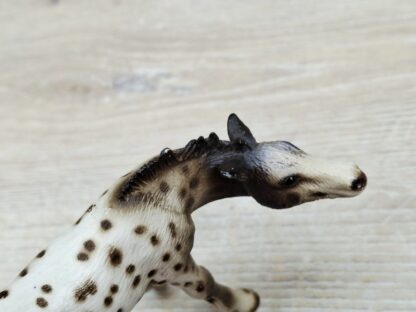 Schleich - 13619 Knabstrupper Fohlen, saugend – Bild 4
