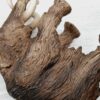 Schleich - Mammuthus / Mammut Familie [Urzeittiere] – Bild 8