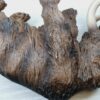 Schleich - Mammuthus / Mammut Familie [Urzeittiere] – Bild 9