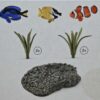 Schleich - 42327 Korallenfische (RAR) (OVP-Sammler) – Bild 2