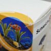 Schleich - 42327 Korallenfische (RAR) (OVP-Sammler) – Bild 5