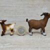 Schleich – Zwergziege Familie #2 – Bild 3