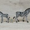 Schleich - Zebra Familie #3 – Bild 3