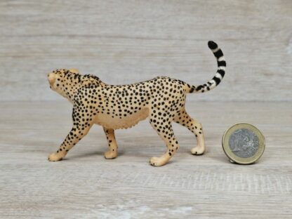 Schleich – 14746 bzw. WWF 17056 Gepardin – Bild 2