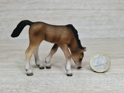 Schleich – 13652 Araber Fohlen, grasend