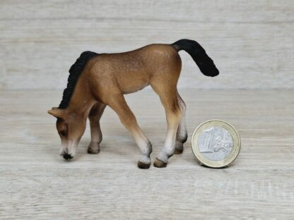 Schleich – 13652 Araber Fohlen, grasend – Bild 2
