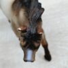 Schleich - 13650 Quarter Horse Hengst – Bild 3