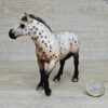 Schleich – 13689 Knabstrupper Hengst – Bild 2