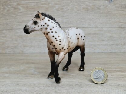 Schleich – 13689 Knabstrupper Hengst – Bild 2