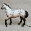 Schleich – 13689 Knabstrupper Hengst – Bild 3