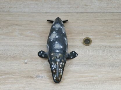 Schleich – 16082 Grauwal – Bild 2