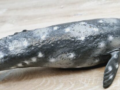 Schleich – 16082 Grauwal – Bild 6