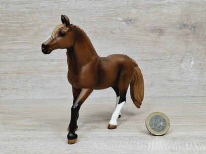 Schleich - 13953 Paso Peruano Stute – Bild 2