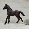 Schleich – 83072 Trakehner Fohlen [Blitz-Blässe] – Bild 2
