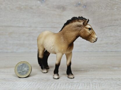 Schleich - 13620 Przewalskipferd – Bild 2