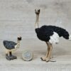 Schleich - Straußen Familie komplett #2 (RAR) – Bild 5