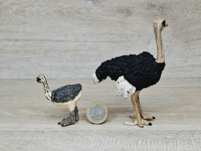Schleich - Straußen Familie komplett #2 (RAR) – Bild 6