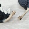 Schleich - Straußen Familie komplett #2 (RAR) – Bild 7