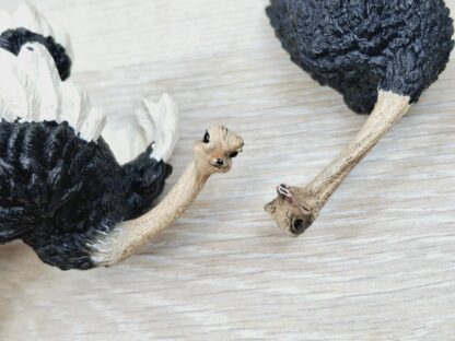 Schleich - Straußen Familie komplett #2 (RAR) – Bild 7