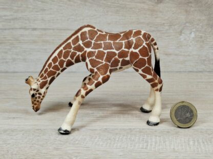 Schleich - 14390 Giraffenkuh saufend (RAR) – Bild 3