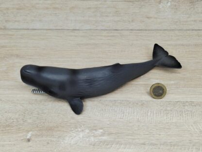 Schleich – 14764 Pottwal – Bild 3