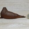 Schleich - 14803 Walross – Bild 2