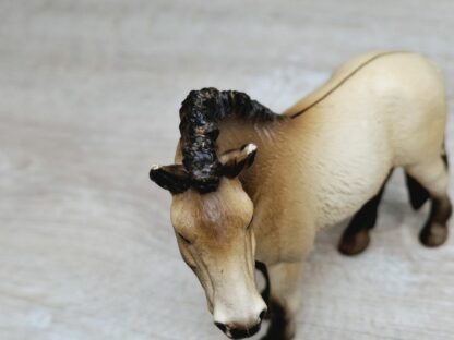 Schleich - 13620 Przewalskipferd – Bild 4