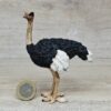 Schleich - 14744 bzw. WWF 17030 Strauß