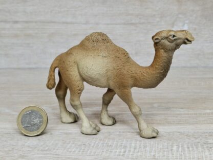 Schleich - 14082 Dromedar – Bild 2