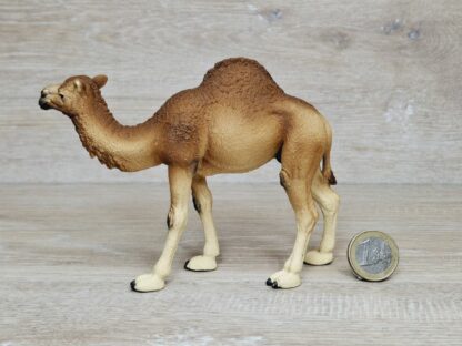 Schleich - 14832 Dromedar – Bild 2