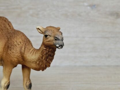 Schleich - 14832 Dromedar – Bild 3