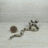 Schleich - 14739 Boa Constrictor – Bild 3