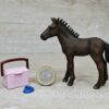 Schleich – 82923 Süßes Fohlen mit Box + Striegel [Lipizzaner]