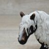 Schleich – 13663 Schwarzwälder Hengst – Bild 5