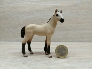 Schleich – 13702 Achal Tekkiner Fohlen
