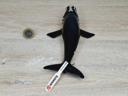 Schleich - 14558 Nordkaper (RAR) (Fähnchen-Sammler)´ – Bild 2