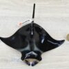 Schleich – 14560 Manta (Rochen - RAR) (Fähnchen-Sammler)´ – Bild 3
