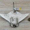Schleich – 14560 Manta (Rochen - RAR) (Fähnchen-Sammler)´ – Bild 4