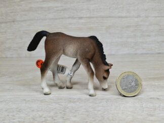 Schleich – 13652 Araber Fohlen, grasend (Fähnchen-Sammler)´
