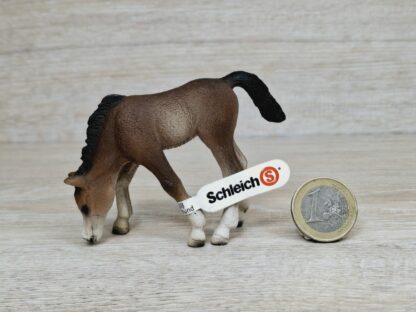 Schleich – 13652 Araber Fohlen, grasend (Fähnchen-Sammler)´ – Bild 2
