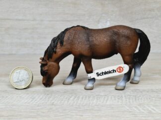 Schleich – 13299 Reitpony, grasend (RAR) (Fähnchen-Sammler)´